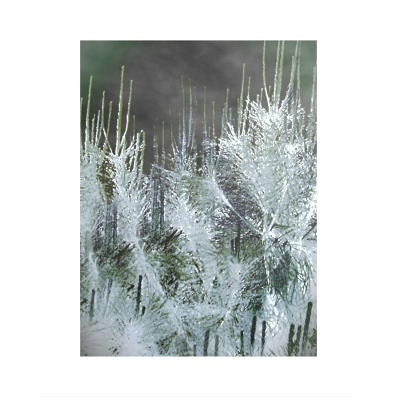 Winter Memory Printmaking by Banu Muazzez Arpal | ArtMajeur