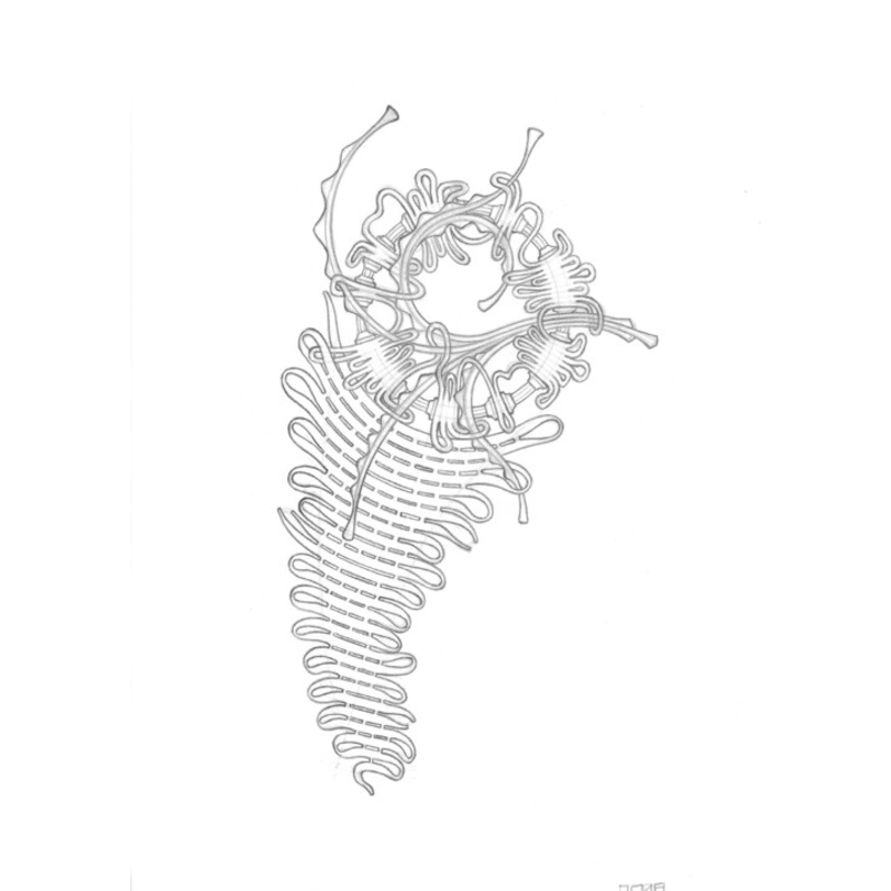 #23 Drawing by George Marich | ArtMajeur